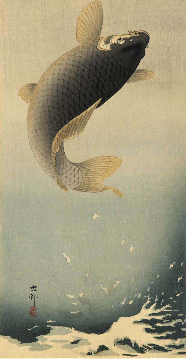 Painting of a koi carp leaping upward out of the water